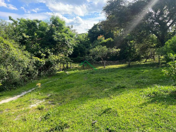 fazenda-venda-florestal-1023678