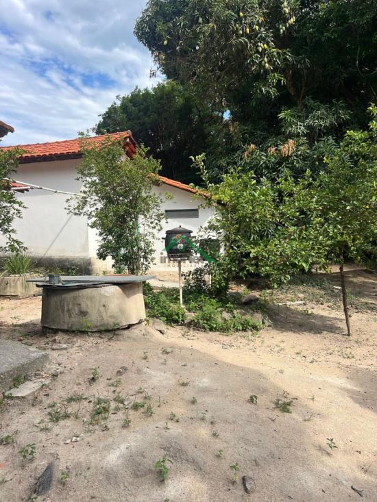 fazenda-venda-florestal-1023692