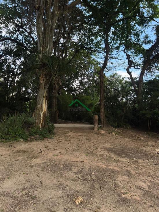 fazenda-venda-florestal-1023696