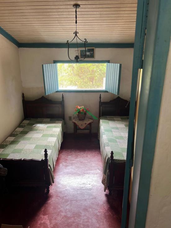 fazenda-venda-florestal-1023684