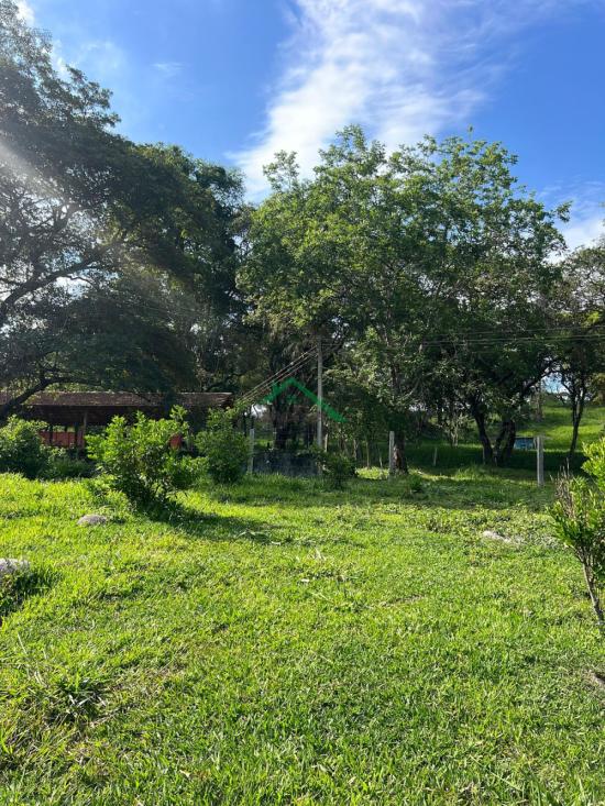 fazenda-venda-florestal-1023686