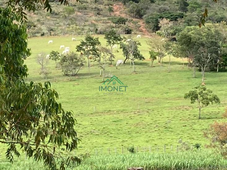 fazenda-venda-esmeraldas-950217