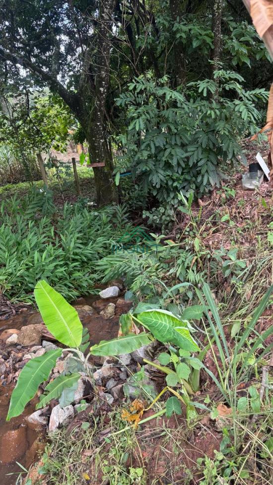 sitio-venda-sao-joaquim-de-bicas-1010184